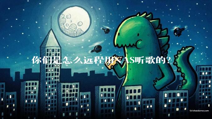 你们是怎么远程用NAS听歌的？