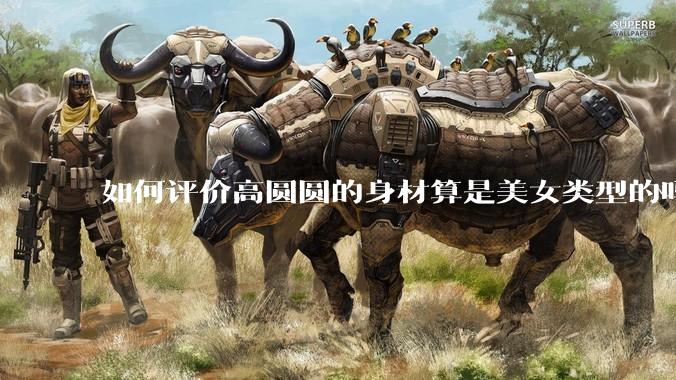如何评价高圆圆的身材算是美女类型的吗？