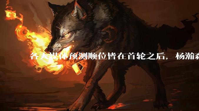 各大媒体预测顺位皆在首轮之后，杨瀚森实际顺位大涨是因为什么？