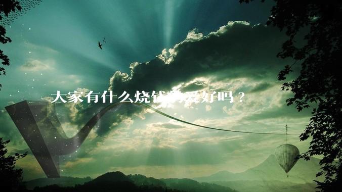 大家有什么烧钱的爱好吗?