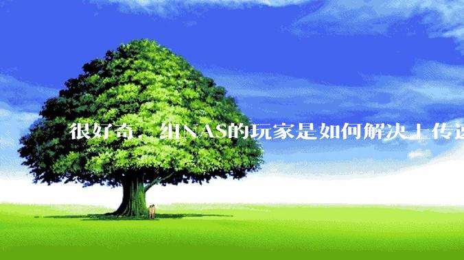 很好奇，组NAS的玩家是如何解决上传速率的问题?