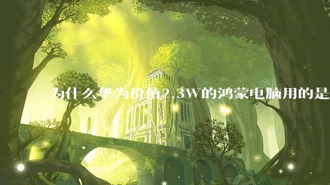 为什么华为价值2.3W的鸿蒙电脑用的是美国西数的中低固态硬盘？？