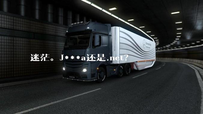 迷茫。J***a还是.net？