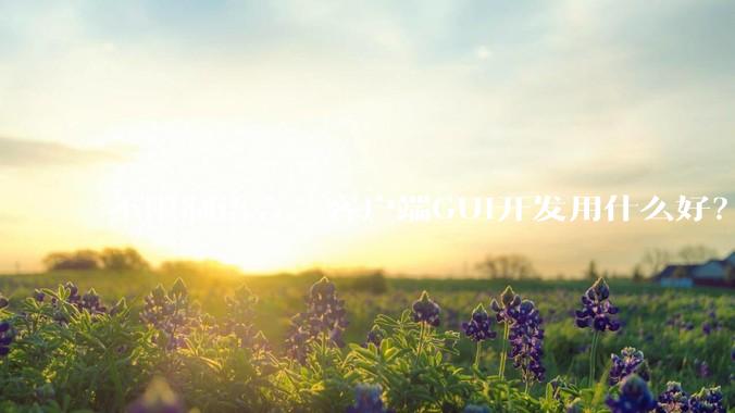 不限制语言，客户端GUI开发用什么好？